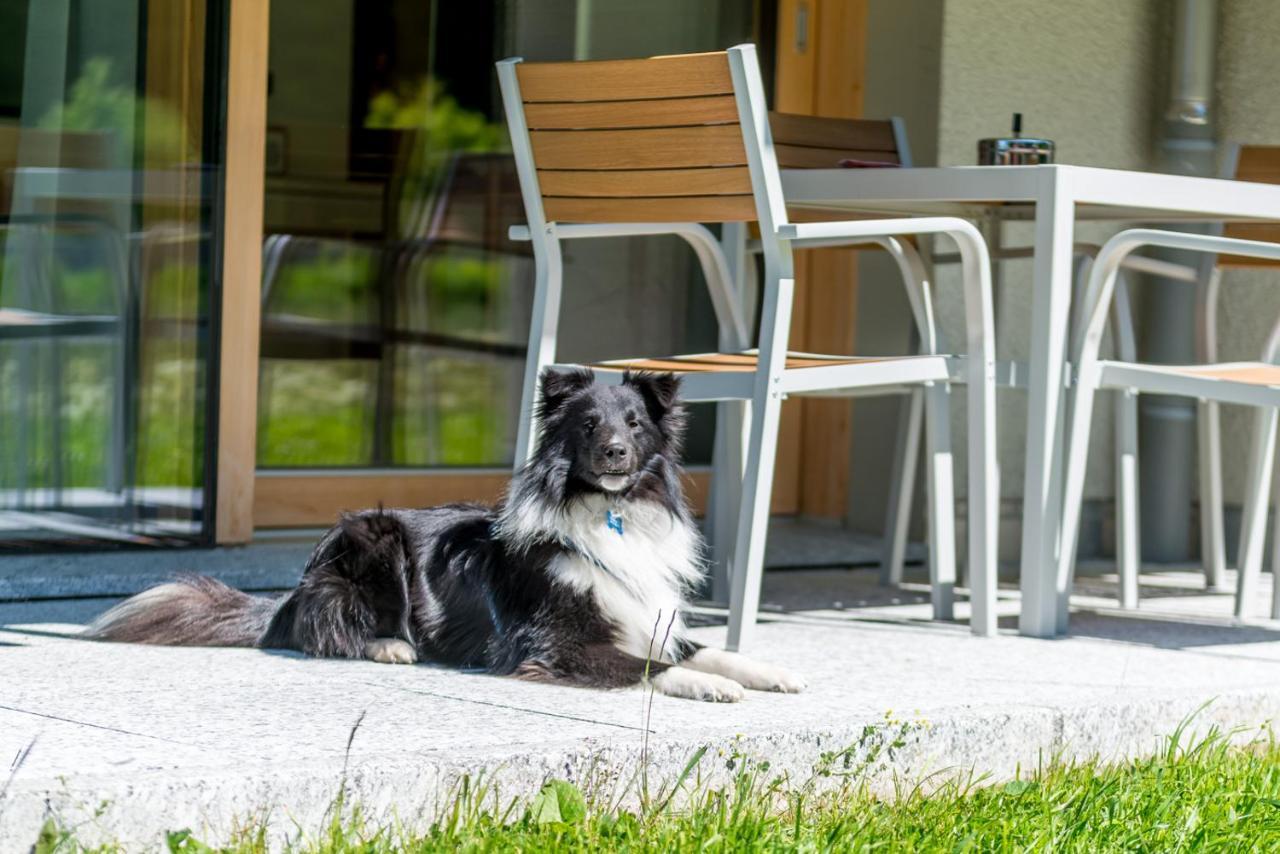 Montela Hotel & Resort - Suiten Saas-Grund Bagian luar foto